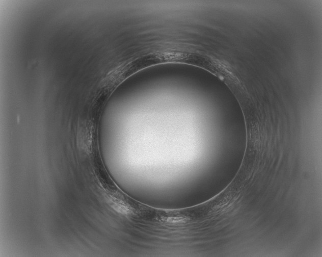 X0000057040645200509120821