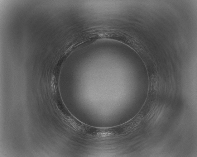 X0000057040650200509120821