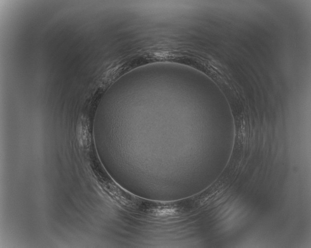 X0000057040651200509120821