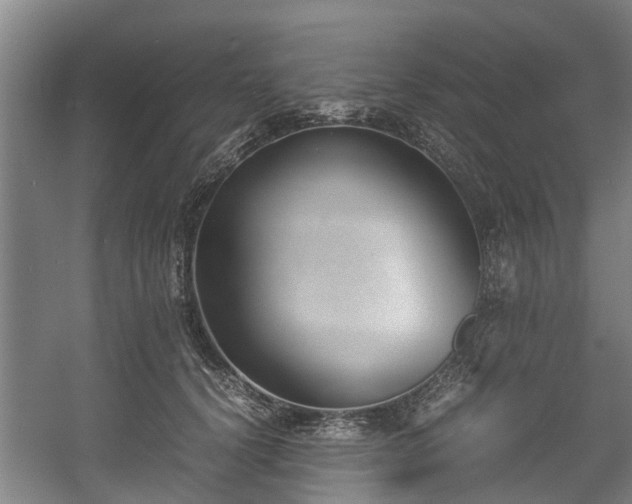 X0000057040656200509120821