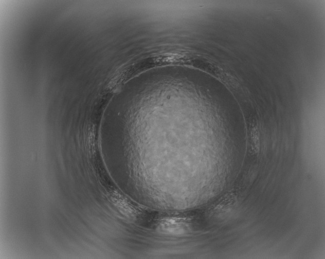 X0000057040657200509120821