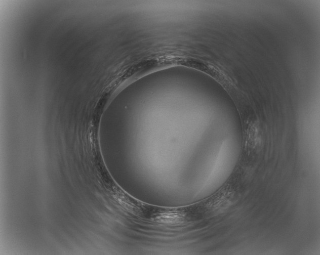 X0000057040659200509120821