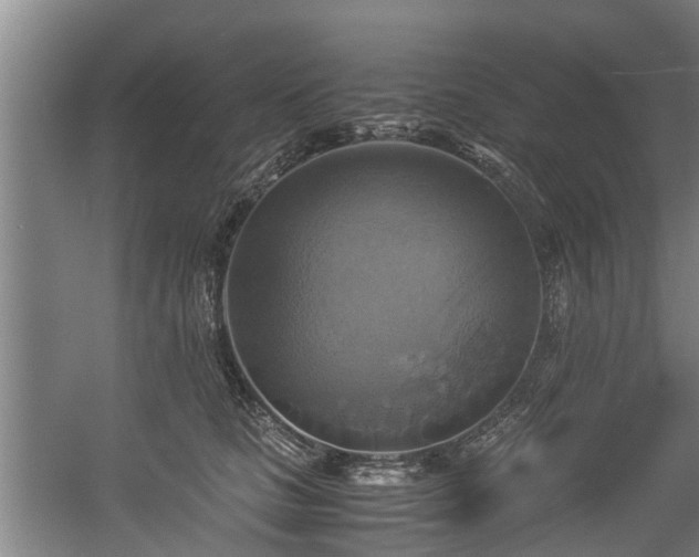 X0000057040661200509120821