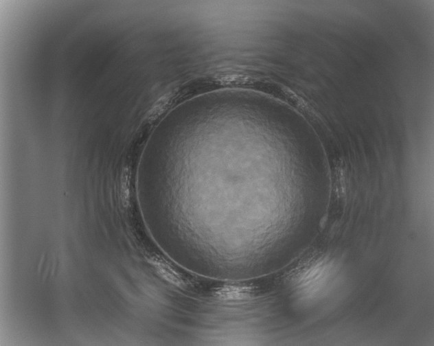 X0000057040664200509120821