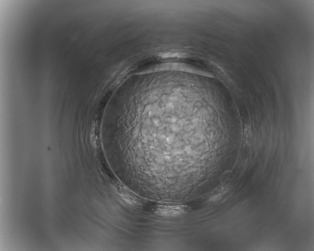 X0000057040671200509120822