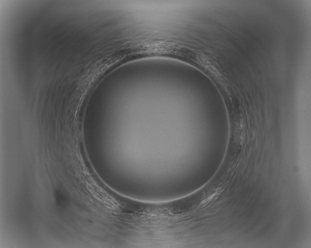 X0000057040673200509120821