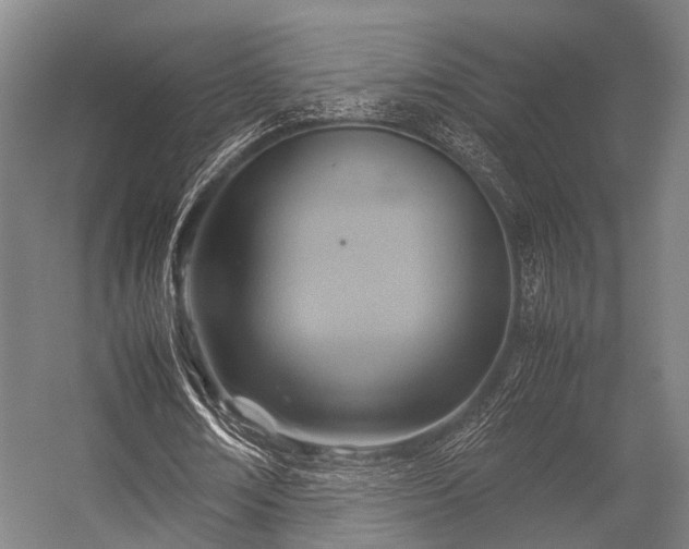 X0000057040674200509120821