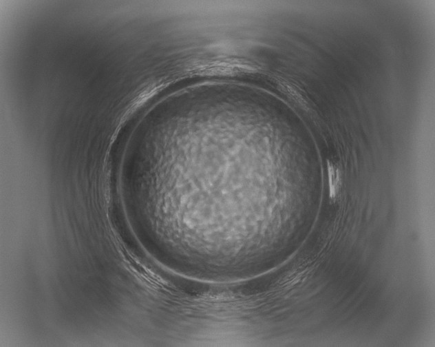 X0000057040675200509120821