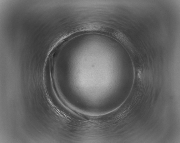 X0000057040676200509120821