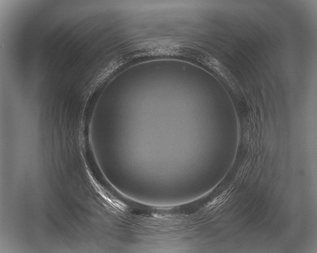 X0000057040677200509120821