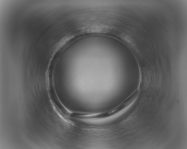 X0000057040678200509120821