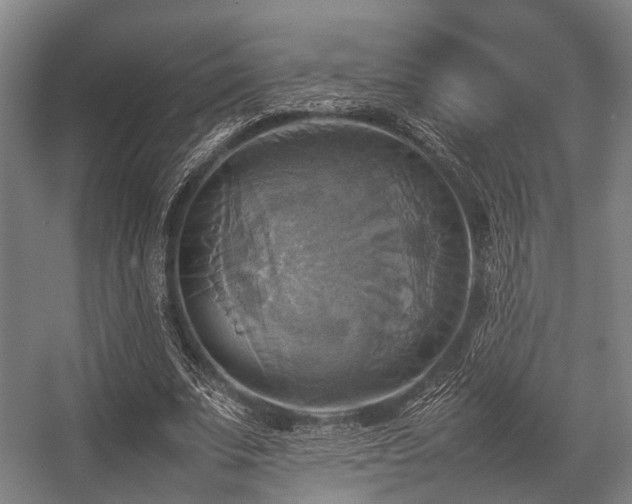 X0000057040679200509120821