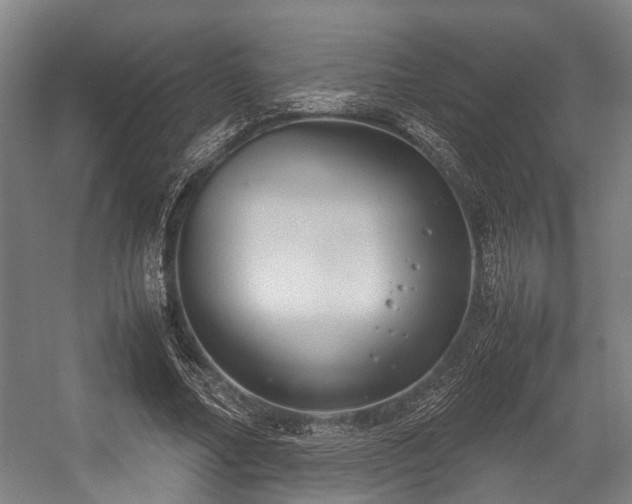 X0000057040682200509120821