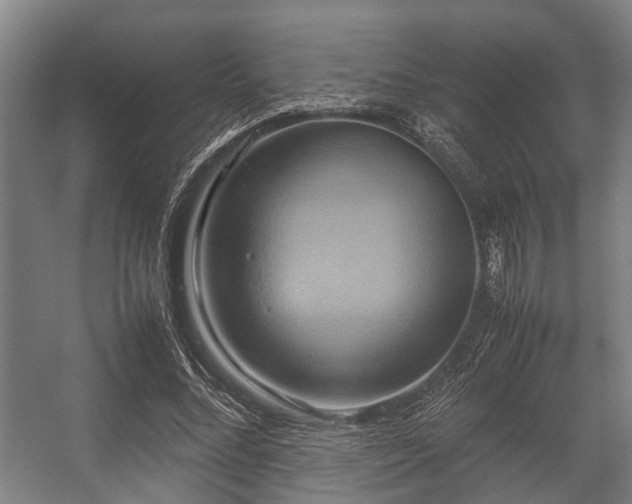 X0000057040684200509120821