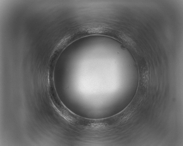 X0000057040686200509120820