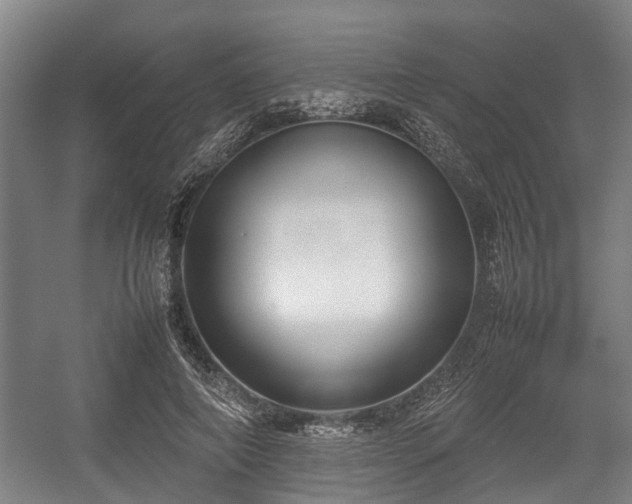 X0000057040690200509120820