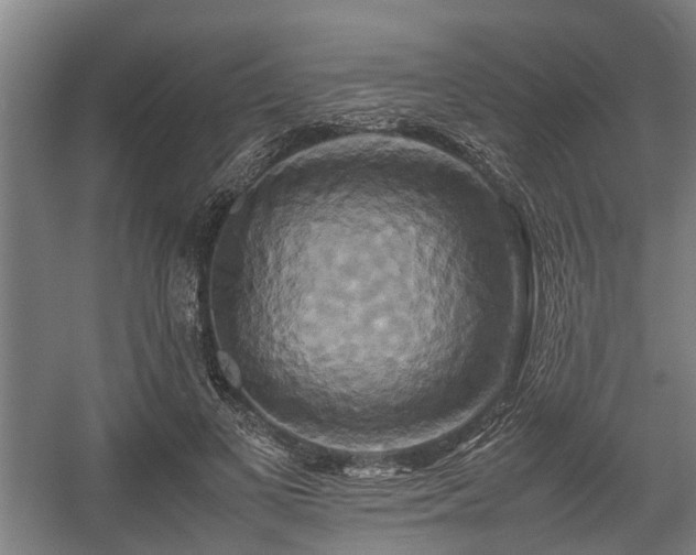 X0000057040693200509120820