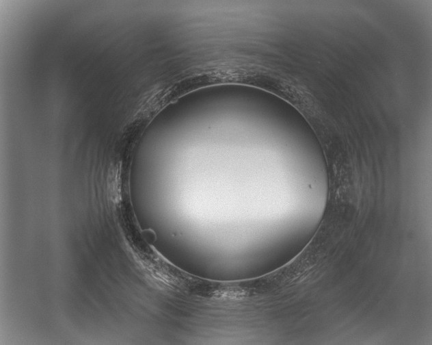 X0000057040694200509120820