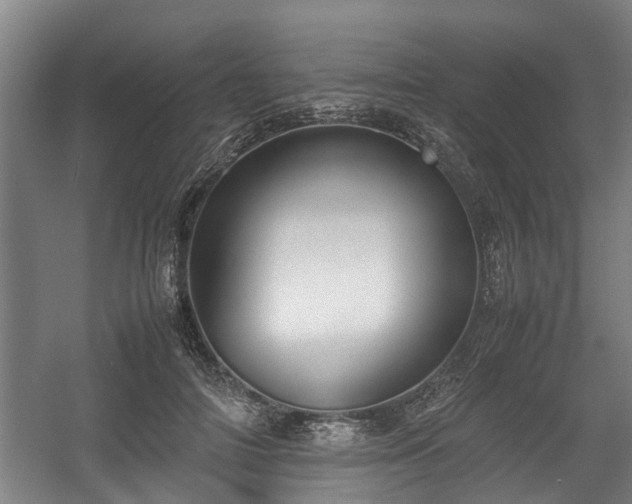X0000057040698200509120820