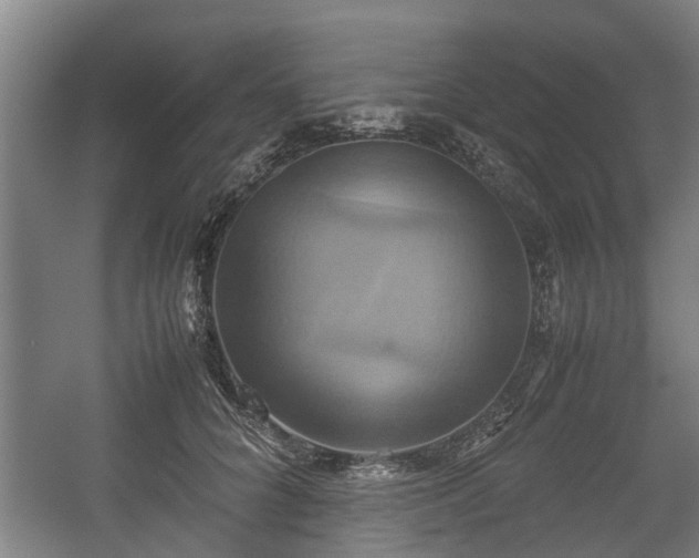 X0000057040704200509120820