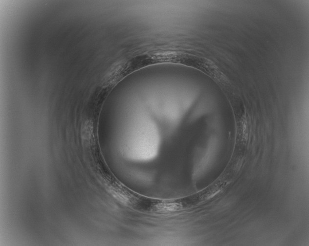 X0000057040711200509120820
