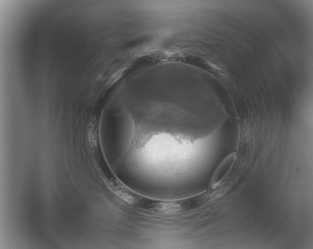 X0000057040719200509120820