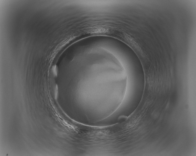 X0000057040721200509120819