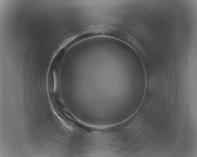 X0000057040722200509120819