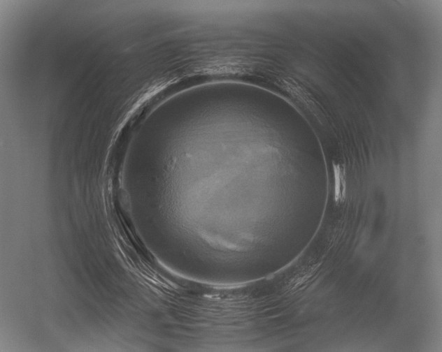 X0000057040723200509120819