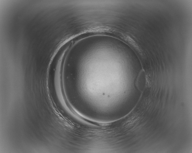 X0000057040724200509120819