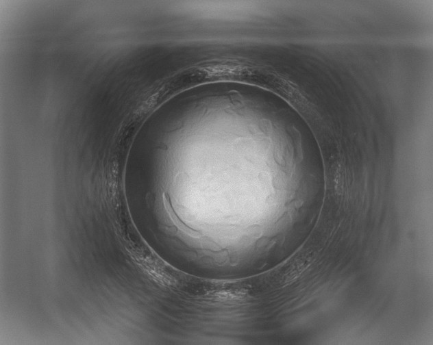 X0000057040737200509120819