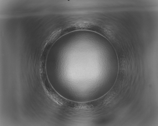 X0000057040738200509120819