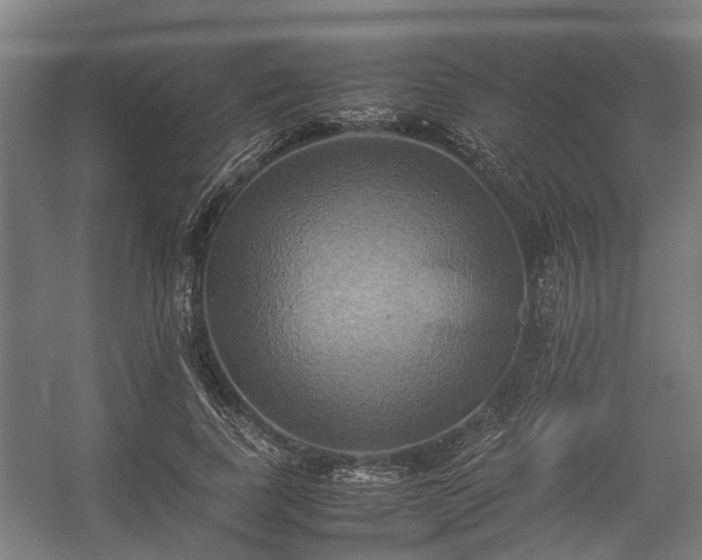 X0000057040739200509120819