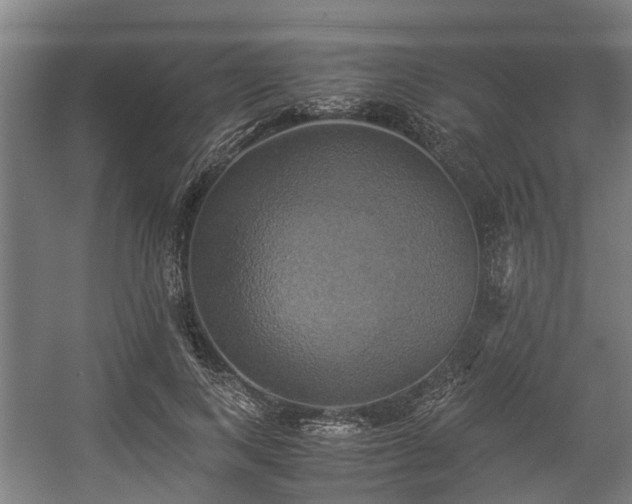 X0000057040743200509120819