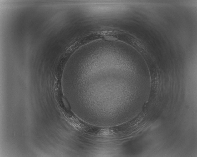 X0000057040750200509120820