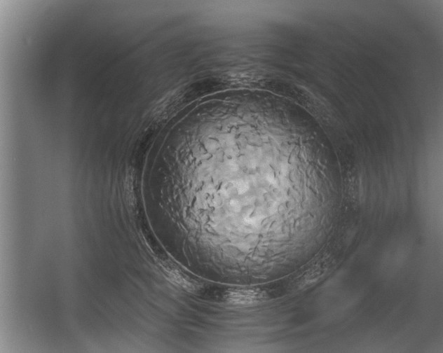 X0000057040757200509120820