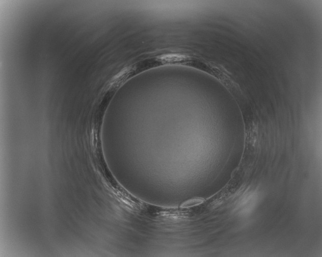 X0000057040763200509120820