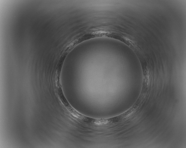 X0000057040767200509120820