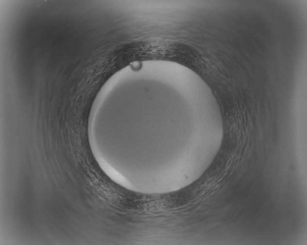 X0000057040769200509120819
