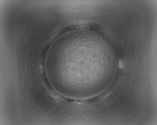 X0000057040771200509120819