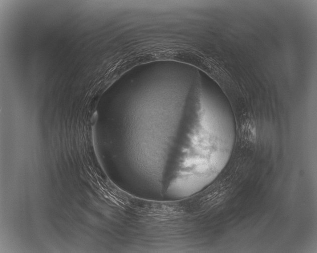 X0000057040772200509120819