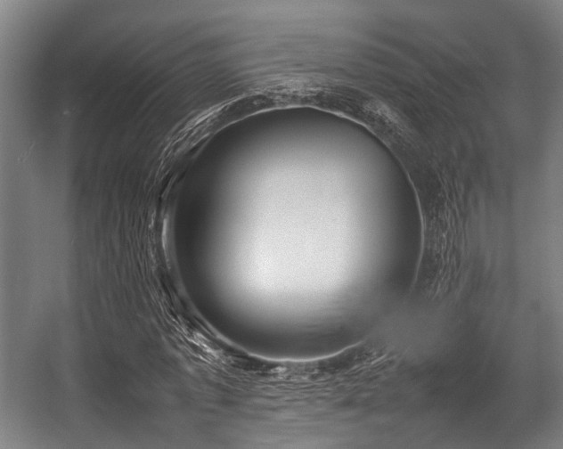 X0000057040773200509120819