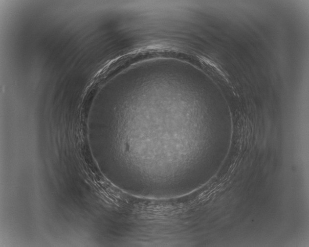 X0000057040776200509120819