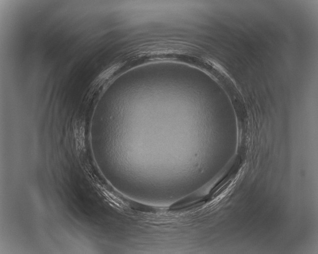 X0000057040777200509120819