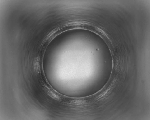 X0000057040778200509120819