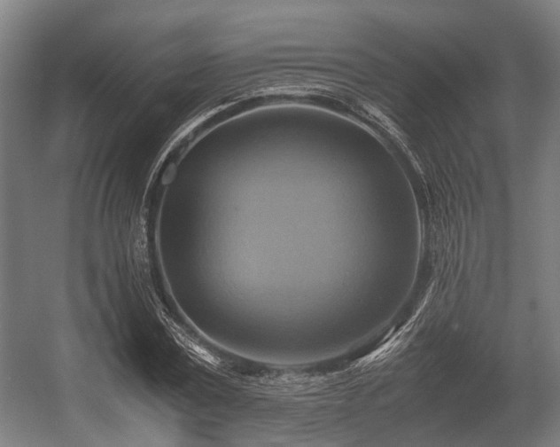 X0000057040779200509120819
