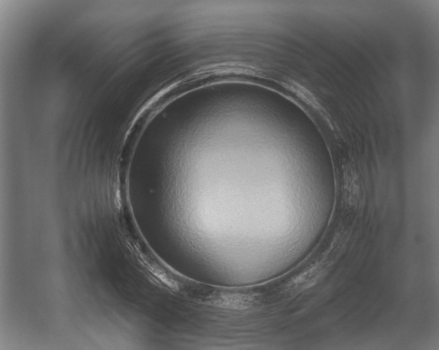 X0000057040782200509120819