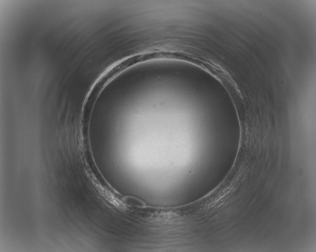 X0000057040784200509120819