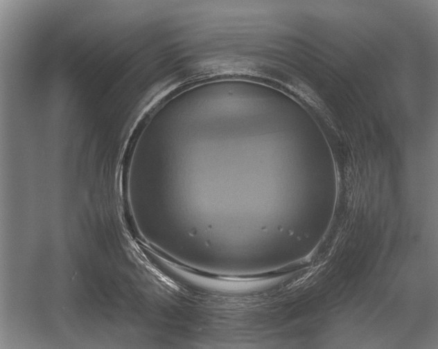 X0000057040790200509120819