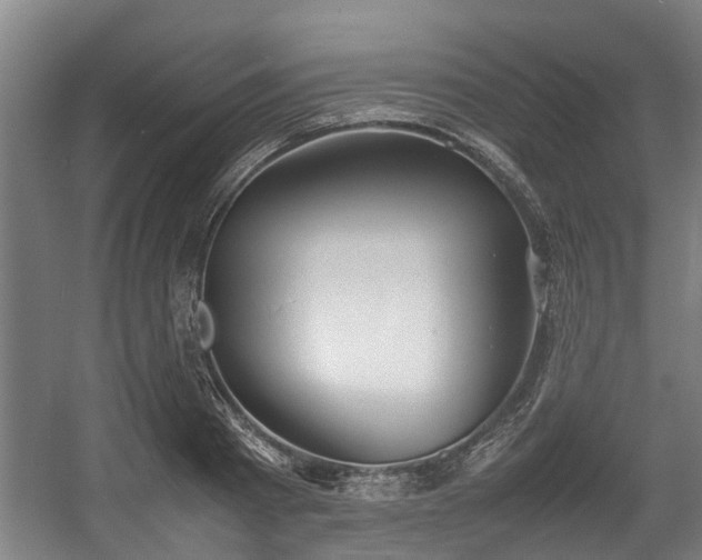 X0000057040793200509120819